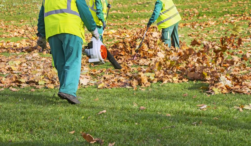 Cost of Bark Blowing — Cost of Bark Blowing