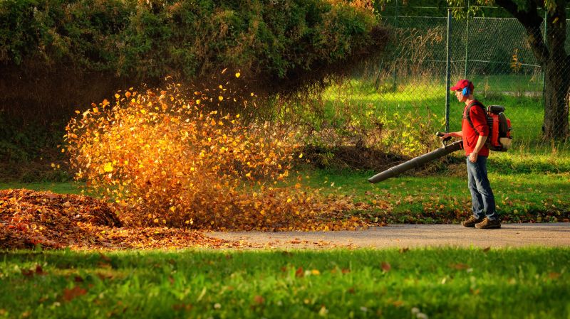 Cost of Bark Blowing — Cost of Bark Blowing